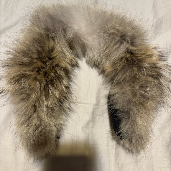 Black Canada Goose Lorette Parka with original coyote fur - Picture 9 of 14
